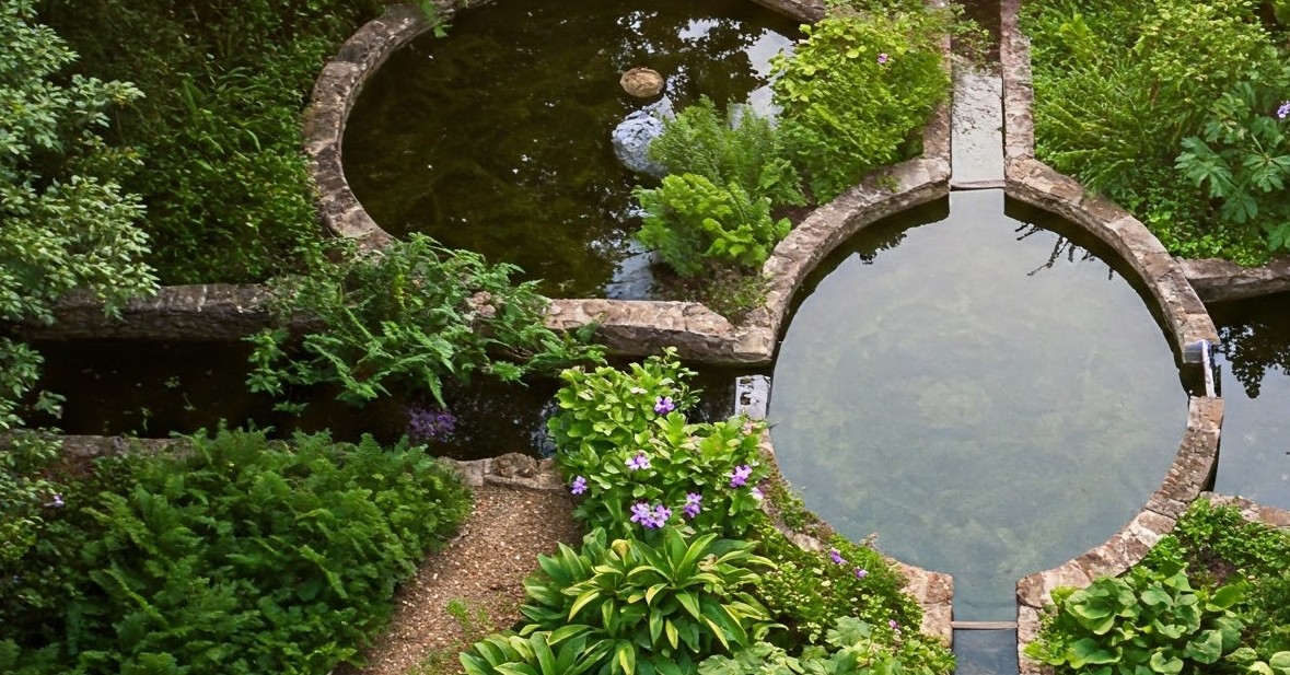 A Comprehensive Guide to Over-watering Plant Problems 15 Water Reservoirs