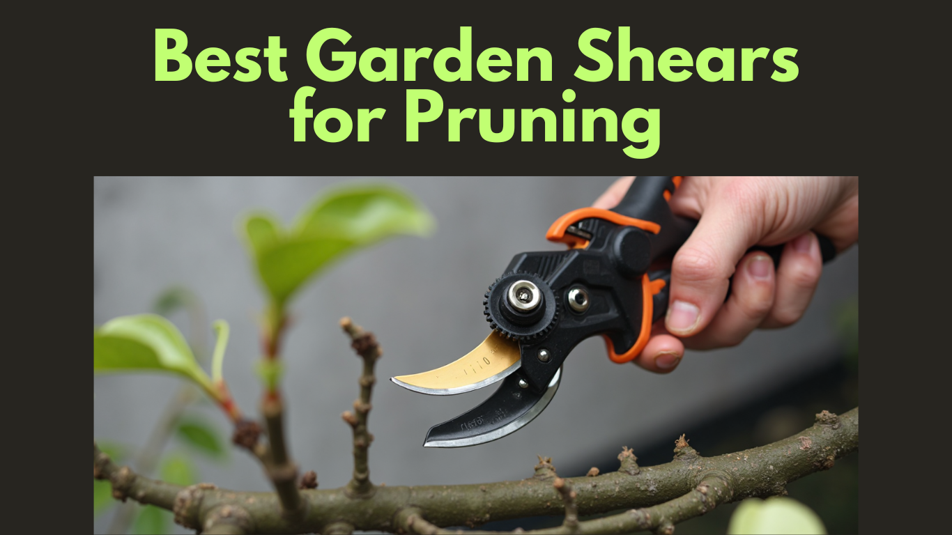Best Garden Shears for Pruning