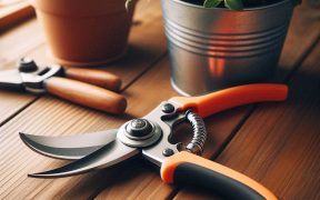 Best Garden Shears