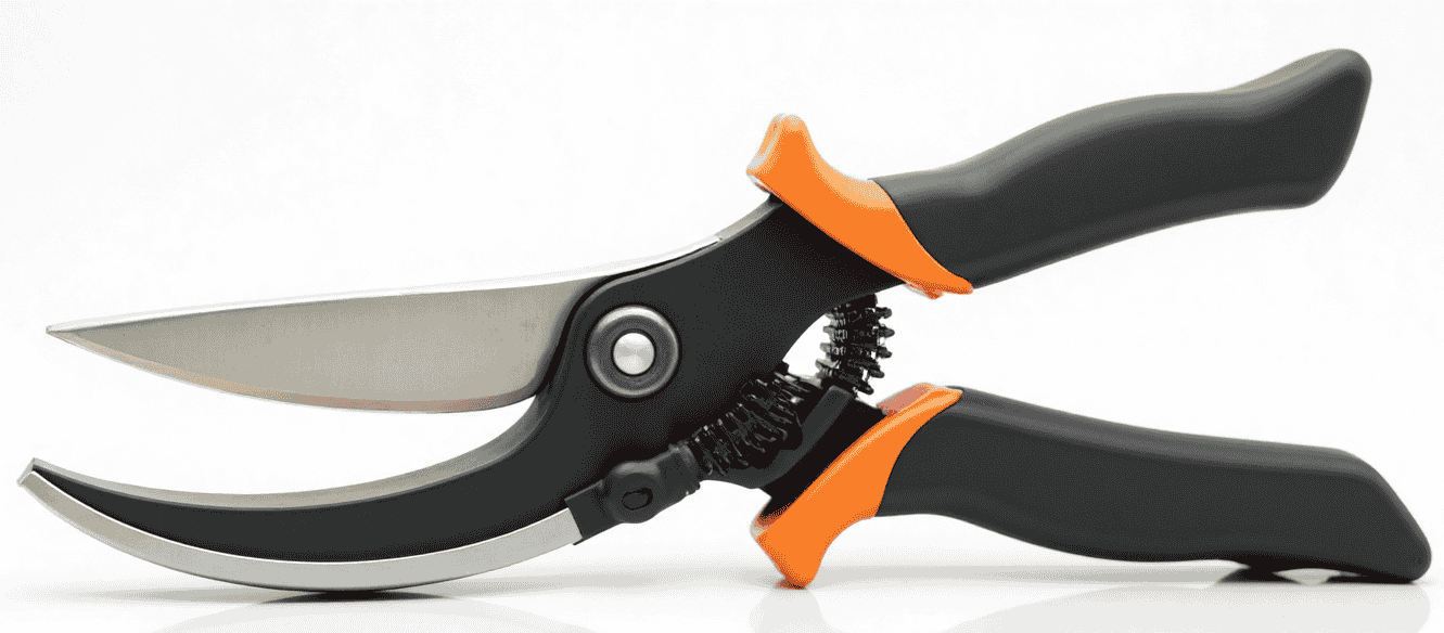 Best Garden Shears for Pruning: Top 5 Picks 5 Premium Bypass Pruning Shears