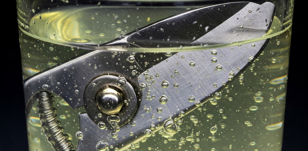 How to Clean Garden Pruning Shears: A Simple Guide 2 Rubbing alcohol (or a diluted bleach solution)