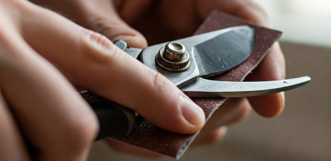How to Clean Garden Pruning Shears: A Simple Guide 10 Sharpen the Blades